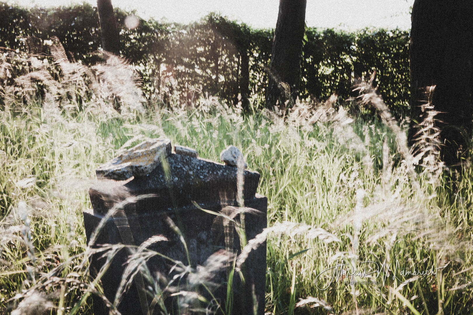 Wettesingen, Jüdischer Friedhof